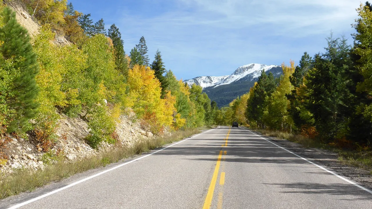 THE ROAD_1